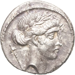 lot 252