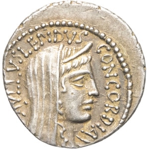 lot 255