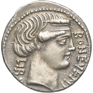 lot 256