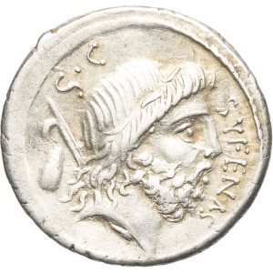 lot 257