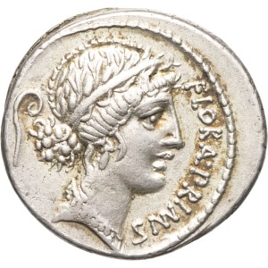 lot 258