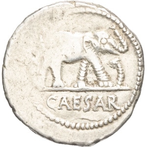 lot 264