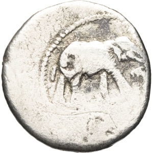 lot 265