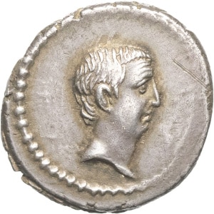 lot 282