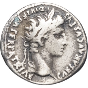 lot 288