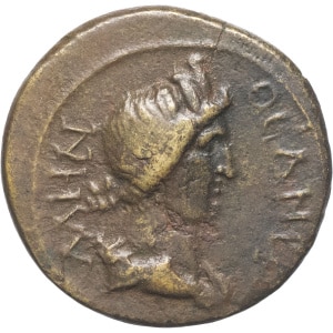 lot 291