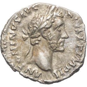 lot 300