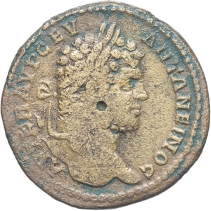 lot 310