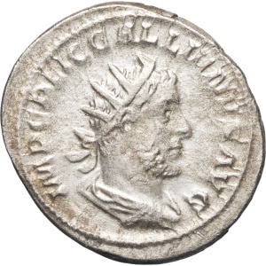 lot 325
