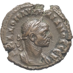 lot 335
