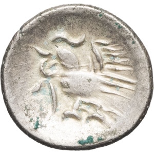 lot 551