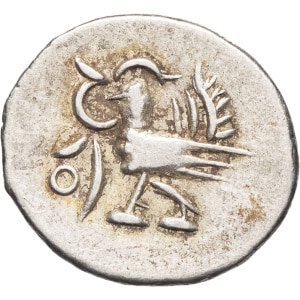 lot 554