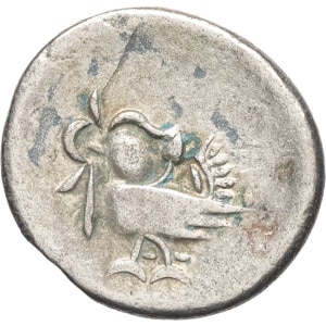 lot 555