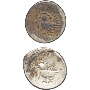 lot 556