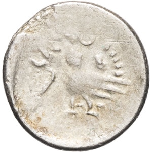 lot 557