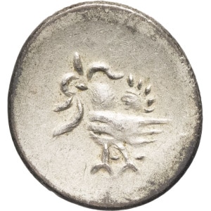 lot 558