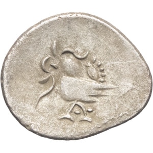 lot 559