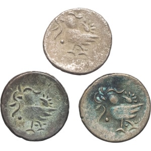 lot 561