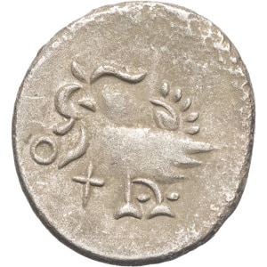 lot 564