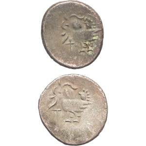 lot 567