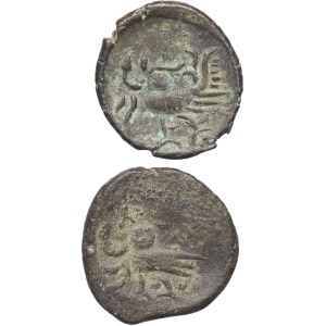 lot 569
