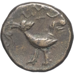 lot 599