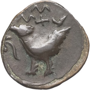 lot 600
